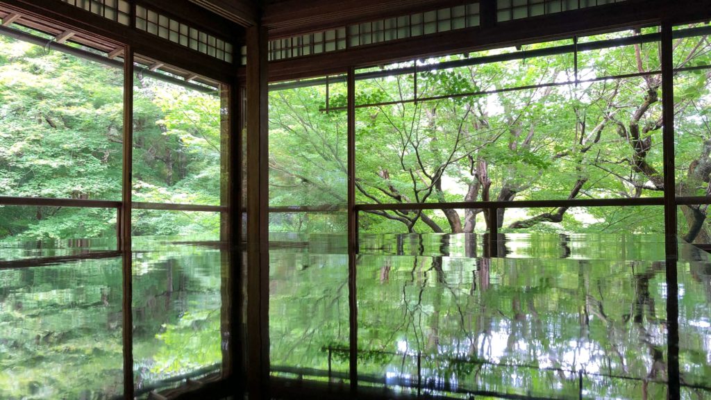 瑠璃光院夏の特別拝観の景色