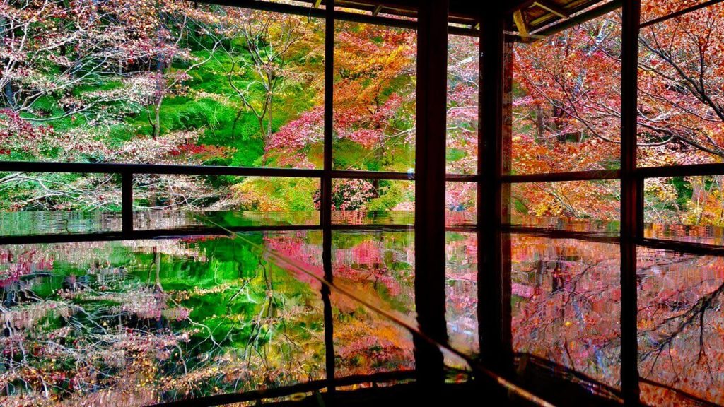 瑠璃光院の紅葉の景色