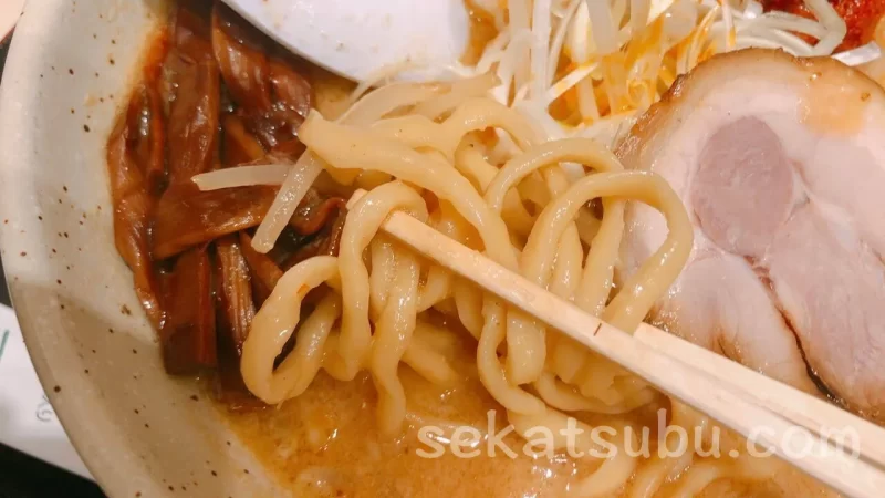 つじ田味噌の章の辛いバリ味噌ラーメンの麺